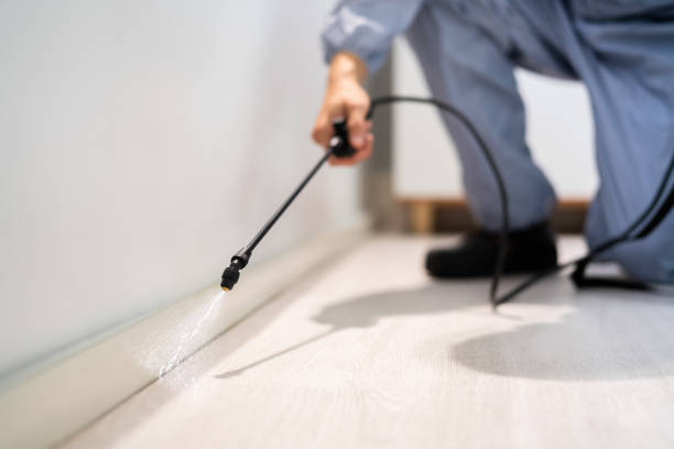 Licensed Rodent Control service in Davidson County County, TN - Nex Pest Control